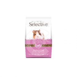 Selective junior Guinea Pig Cochon d'Inde