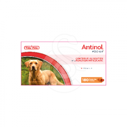 Antinol chien