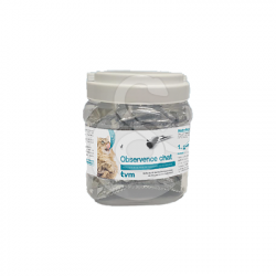 Observence Chat en barre