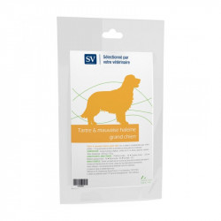 Plaisir Tartre Chiens