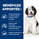 Chien cd Urinary Multicare Poulet Boîte