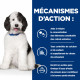 Chien cd Urinary Multicare Poulet Boîte
