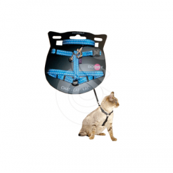 Ensemble harnais/laisse chat Bobby Safe