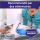 Feliway Optimum