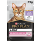 Cat Delicate Dinde Sauce Sachet repas
