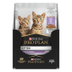 Cat kitten Dinde Sauce Sachet repas