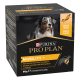 Pro Plan Mobility  Chien