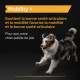 Pro Plan Mobility  Chien