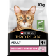 Cat Delicate Agneau