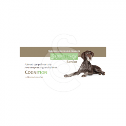 Suppléo Senior Cognition Grand chien