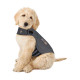 BODY THUNDERSHIRT CHIEN XXS