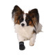 BOTTINE DE PROTECTION S X2