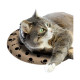 BOUILLOTTE SNUGGLESAFE