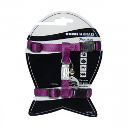 HARNAIS CHAT BASIC VIOLET
