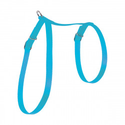 HARNAIS CHAT UNI TURQUOISE