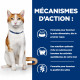 Chat OnCare Poulet