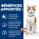 Chat OnCare Poulet