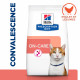 Chat OnCare Poulet