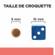 Chat OnCare Poulet