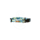Collier Pawouaf Paon