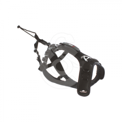 Harnais iDog Raidlight
