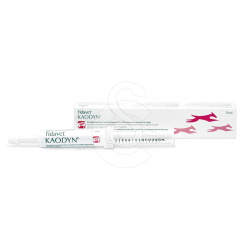 Kaodyn Pâte orale - Tube 15 ml