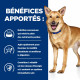 Chien id Digestive Care Dinde Boîte