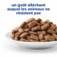 Vet Essentials Chat MultiBenefit Kitten Poulet Sachet repas
