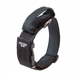 COLLIER INTERVENTION JULIUS K9