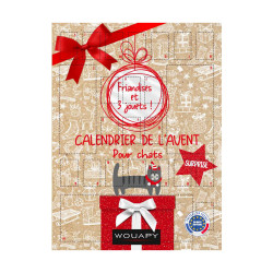 CALENDRIER AVENT SURPRISE CHAT