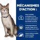 Chat kd Kidney Pack Mixte Sachet repas