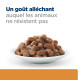 Chat kd Kidney Pack Mixte Sachet repas