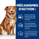 Derm Complete Boîte pour Chien