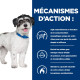Chien jd MetabolicMobility