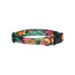 Collier Pawouaf Végétation Exotique