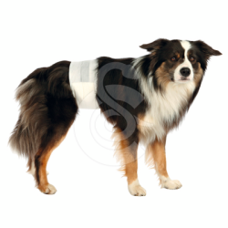 Couche jetable Trixie pour chien mâle