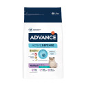 SPE CT FID DIGESTIVE SUPPORT 400G