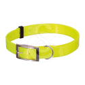Specific FQD-F Atlantic Sardine