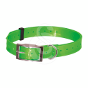 Specific FQD-F Atlantic Sardine
