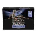 Specific FXD Adult