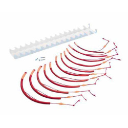 Specific CPD-S Puppy Small Breed