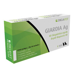 Laisse Bobby Easy Safe