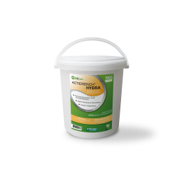 SOFIVET Préférence Chat ligne