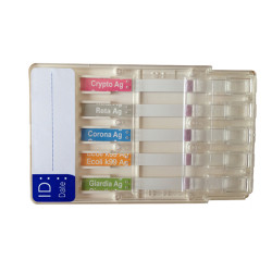 Préférence Chat Senior