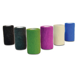 Préférence Chat Poisson & Volaille Terrine