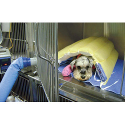 Collier Ruffwear Front Range