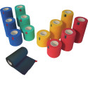 Advance Active Defense Chat Sterilized Sensitive Care Saumon
