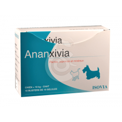 ISOVIA Ananxivia Chat/Petit chien
