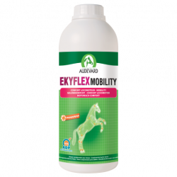 Ekyflex Mobility