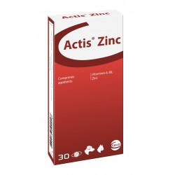 Actis Zinc